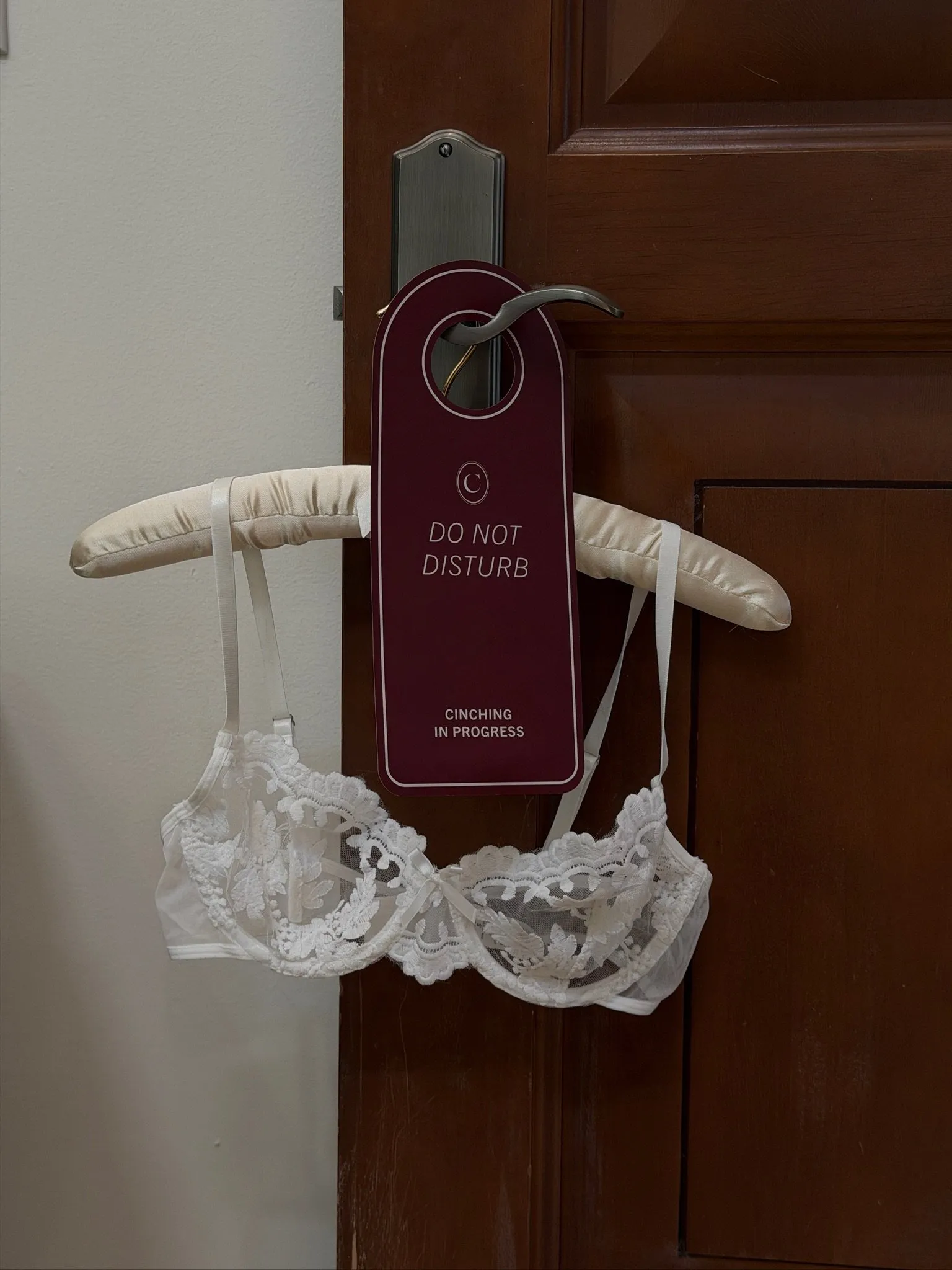 Oxblood Do Not Disturb door hanger on a satin hanger with a lace bra